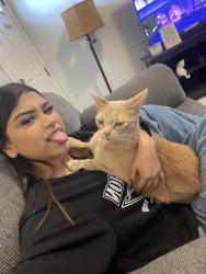 Lost Male Cat last seen Romona circle, Harlingen, TX 78550
