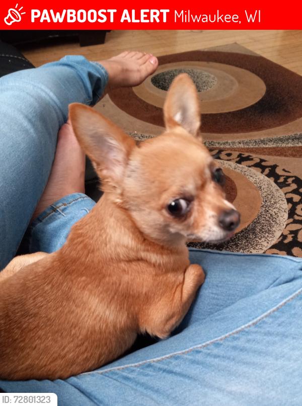 Lost Female Dog last seen 12th and national , Milwaukee, WI 53204