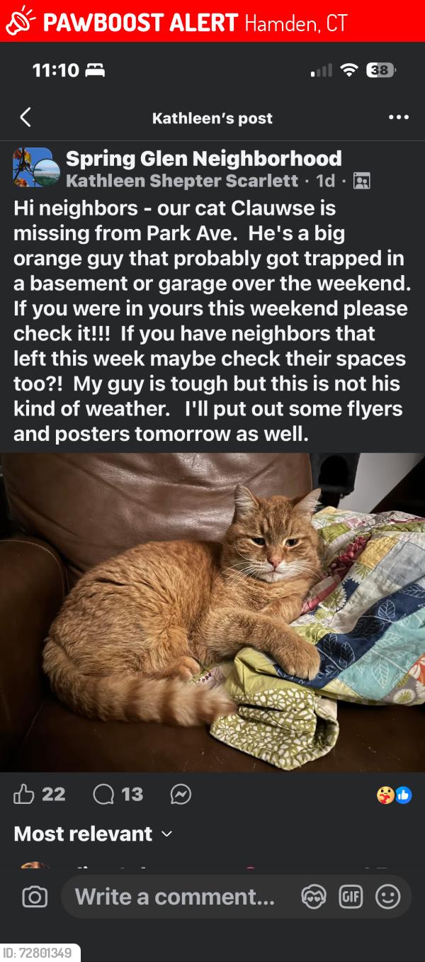 Lost Male Cat last seen Park ave and Gordon, Hamden, CT 06517