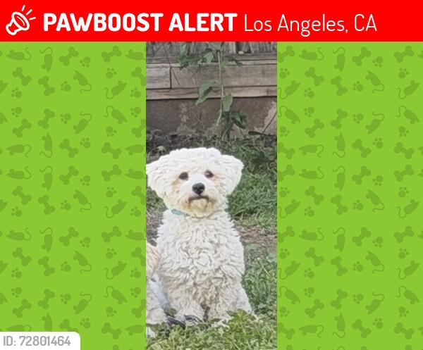 Lost Male Dog last seen Woodley , Los Angeles, CA 91325