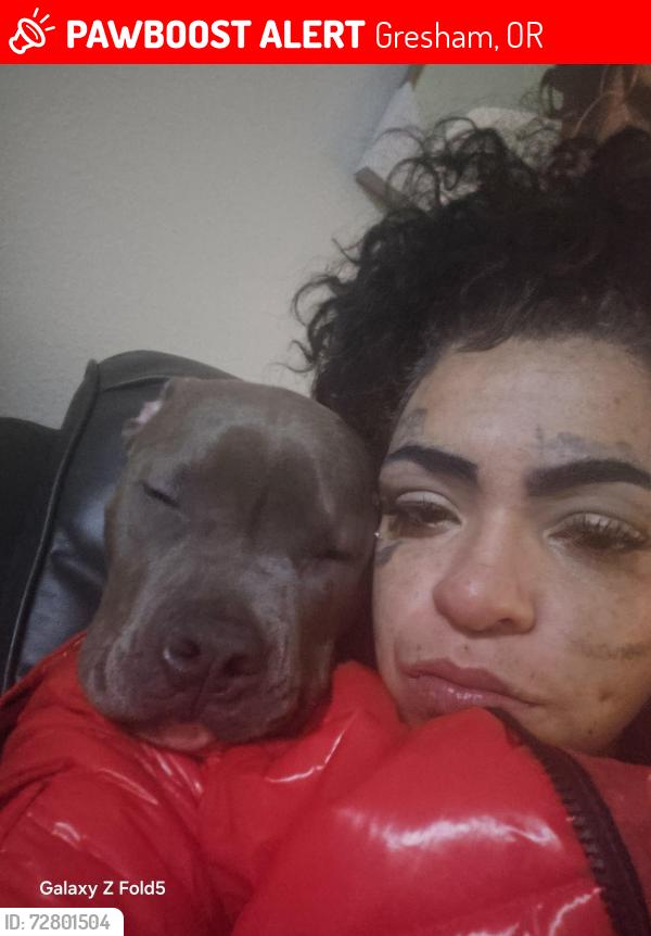 Lost Female Dog last seen 174th and stark, Gresham, OR 97233