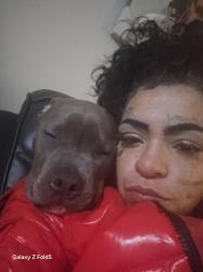 Lost Female Dog last seen 174th and stark, Gresham, OR 97233