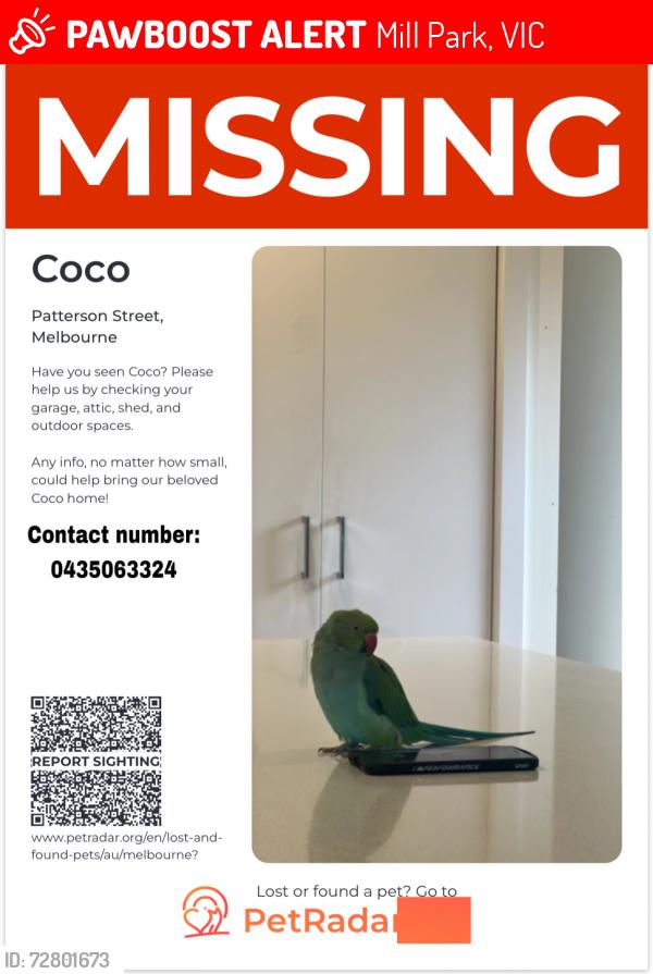 Lost Female Bird last seen 19a Patterson st mill park , Mill Park, VIC 3082