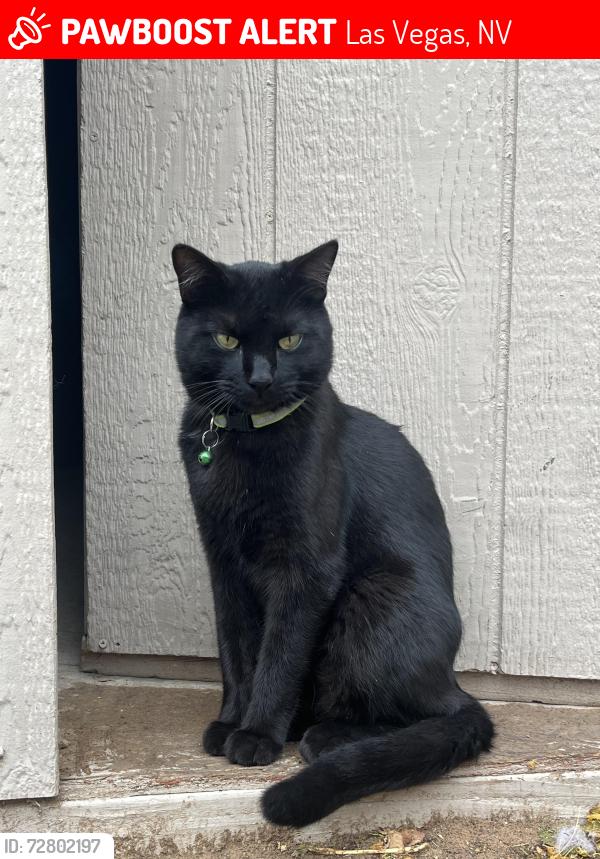 Lost Male Cat last seen Nellis , Las Vegas, NV 89115