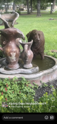 Found/Stray Male Dog last seen Coe and Jimmy, Pinehurst, TX 77362