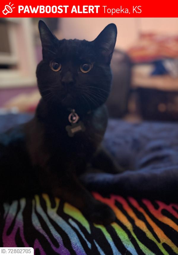 Lost Male Cat last seen Family of God Church, Topeka, KS 66608