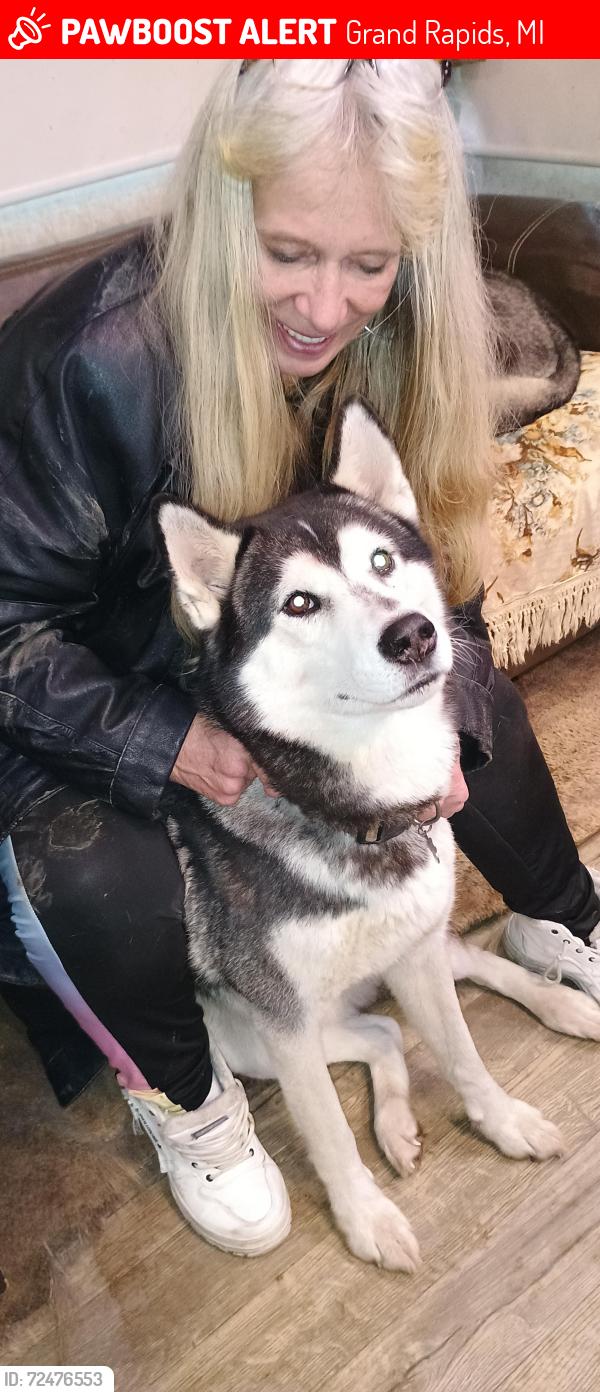 Lost Female Dog last seen 60th and division ave grand rapids mi , Grand Rapids, MI 49548