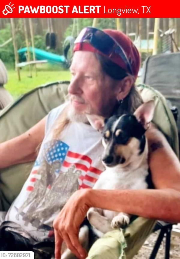 Lost Male Dog last seen Fm 1845 and Hwy 31, Longview, TX 75604