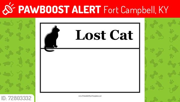 Lost Unknown Cat last seen Field behind house with train tracks *located on fort campbell base*, Fort Campbell, KY 42223