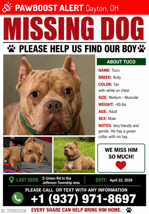 Lost Male Dog last seen S union rd , Dayton, OH 45417