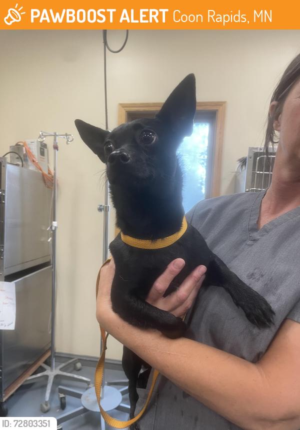 Found/Stray Male Dog last seen Foley blvd and northdale, Coon Rapids, MN 55448