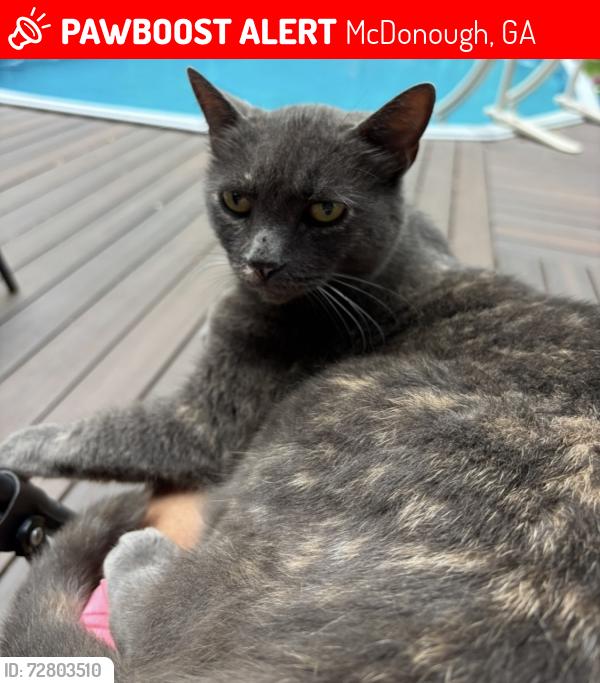 Lost Female Cat last seen Dailey Mill Rosd, McDonough, GA 30253