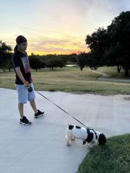 Lost Male Dog last seen En la mccart ave por el 20 de fort worth, Fort Worth, TX 76133