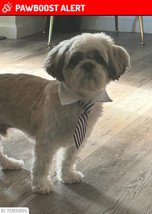 Lost Male Dog last seen Oakleaf plantation parkway, Victoria falls drive, Oakleaf Plantation, FL 32065