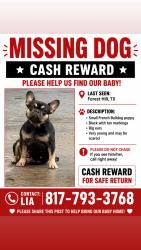 Lost Female Dog last seen Forest Hill Texas 76119, Forest Hill, TX 76119