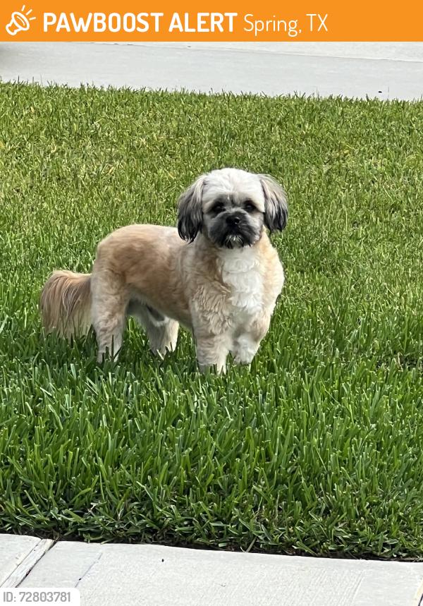 Found/Stray Unknown Dog last seen Cypresswood, Spring, TX 77373
