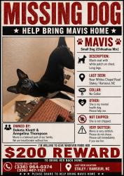 Lost Female Dog last seen Whites chapel road nc staley usa, Randolph County, NC 27355