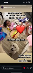Lost Male Dog last seen Sugar creek , Charlotte, NC 28213