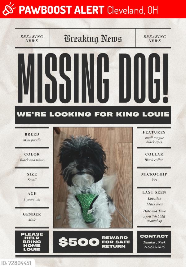 Lost Male Dog last seen Miles Ave, Cleveland, OH 44105