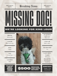 Lost Male Dog last seen Miles Ave, Cleveland, OH 44105