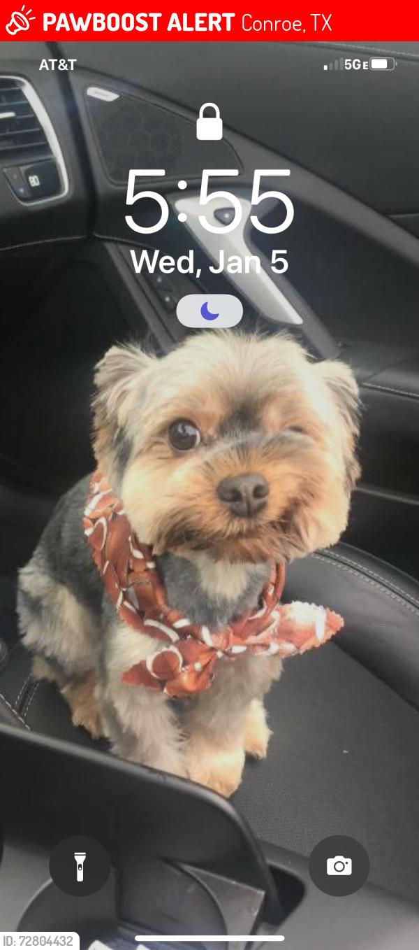 Lost Male Dog last seen Jacob’s Reserve and 1488, Conroe, TX 77384