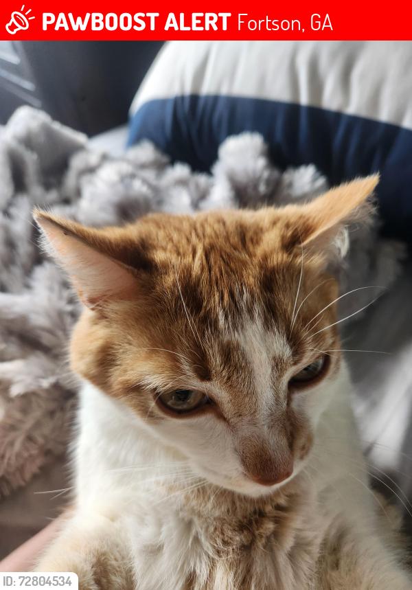 Lost Male Cat last seen Near , Fortson, GA 31808