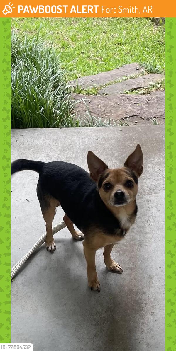Found/Stray Male Dog last seen 28th and S.Enid, Fort Smith, AR 72901