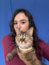 Lost Female Cat last seen Plumpton Avenue RM12 Hornchurch, Greater London, England RM12