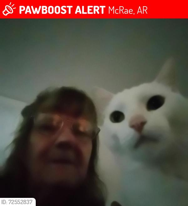 Lost Male Cat last seen Mintisouri school and water nearby, McRae, AR 72102