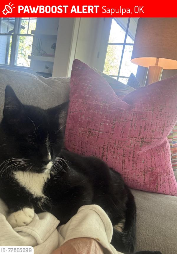 Lost Male Cat last seen 71st and 33rd west Ave, Sapulpa, OK 74132