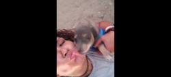 Lost Male Dog last seen La Puente Hills Mall, Hacienda Heights, CA 91745