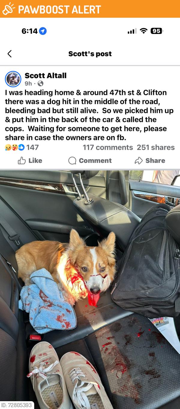 Found/Stray Unknown Dog last seen 47th & Clifton, Oaklawn-Sunview, KS 67216