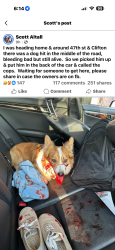 Found/Stray Unknown Dog last seen 47th & Clifton, Oaklawn-Sunview, KS 67216