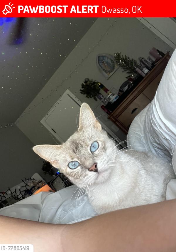 Lost Female Cat last seen 82nd st North and N 129th East Ave Neighborhood by Mills Elementary School Owasso, Owasso, OK 74055