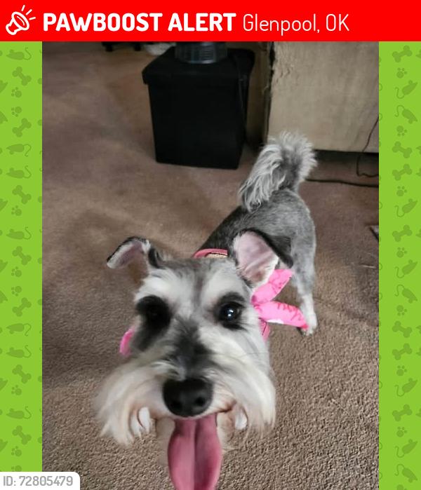 Lost Female Dog last seen Neighborhood behind the Mazzios, Glenpool, OK 74033
