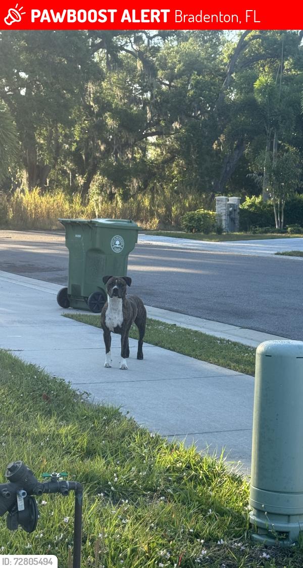 Lost Unknown Dog last seen River run way , Bradenton, FL 34208