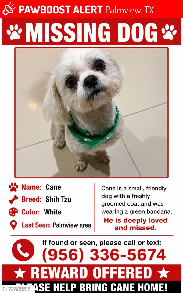 Lost Male Dog last seen Ida Dr Palmview Tx, Palmview, TX 78572