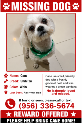 Lost Male Dog last seen Ida Dr Palmview Tx, Palmview, TX 78572