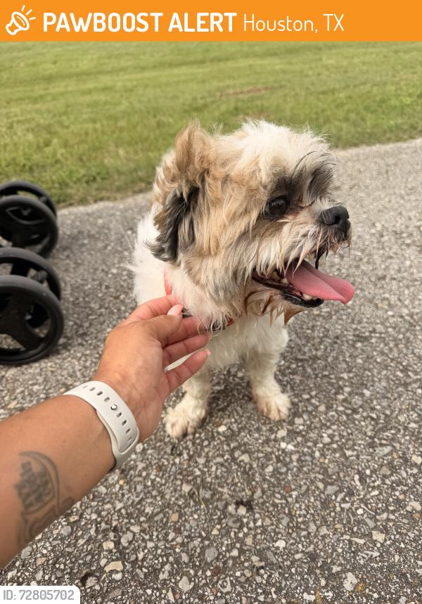 Found/Stray Male Dog last seen mayde creek south park, Houston, TX 77084