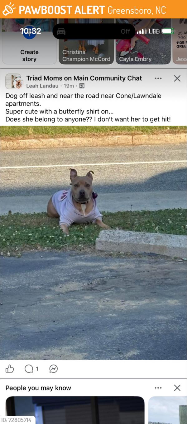 Found/Stray Unknown Dog last seen Lawndale dr , Greensboro, NC 27408