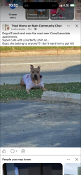 Found/Stray Unknown Dog last seen Lawndale dr , Greensboro, NC 27408