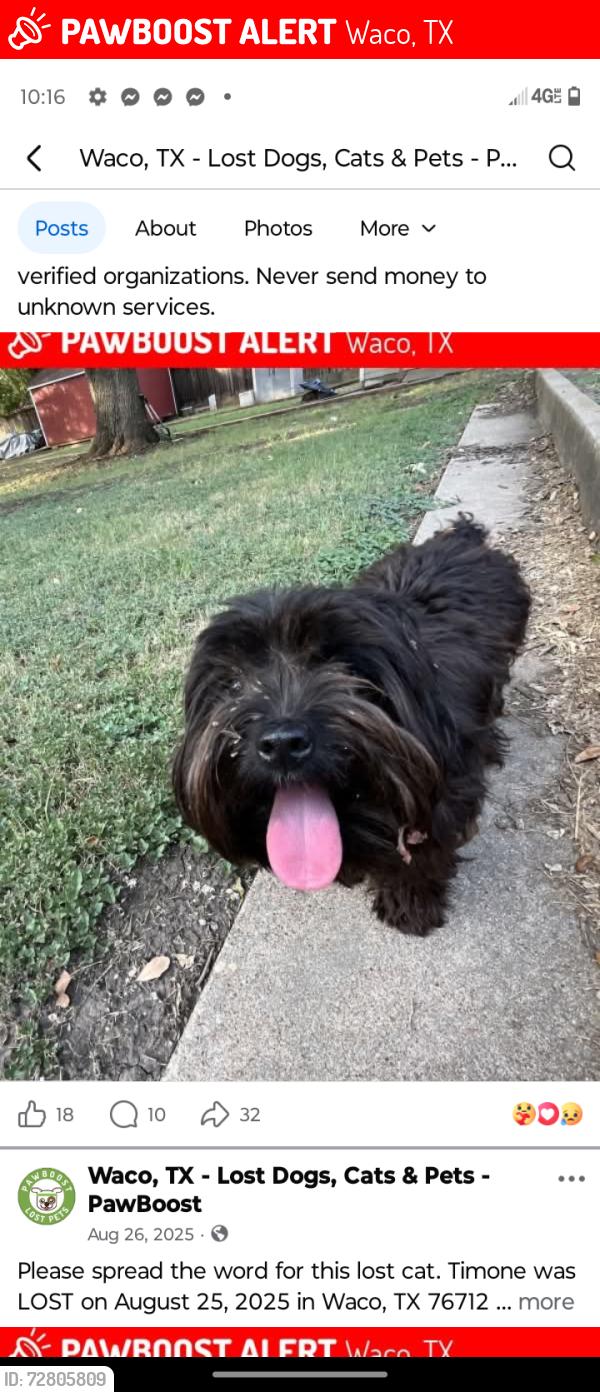 Lost Male Dog last seen N34th, Waco, TX 76710
