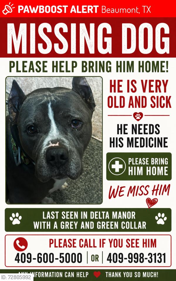 Lost Male Dog last seen delta manor and behind academy , Beaumont, TX 77706