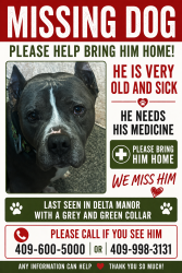 Lost Male Dog last seen delta manor and behind academy , Beaumont, TX 77706