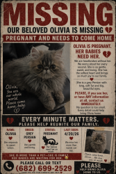 Lost Female Cat last seen Hosts 8000 Fort Worth TX 76123, Fort Worth, TX 76123