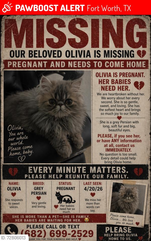 Lost Female Cat last seen Hosts 8000 Fort Worth TX 76123, Fort Worth, TX 76123