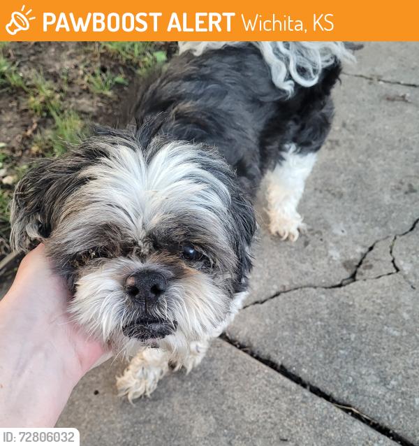 Found/Stray Male Dog last seen Kellogg and Maize , Wichita, KS 67209