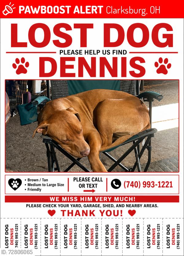 Lost Male Dog last seen St rt 207 , st rt 138, Clarksburg, OH 43115