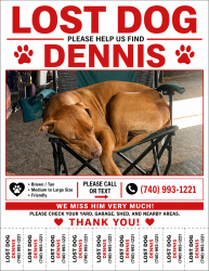 Lost Male Dog last seen St rt 207 , st rt 138, Clarksburg, OH 43115