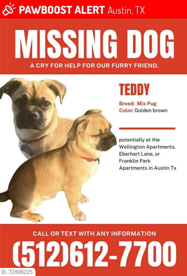 Lost Male Dog last seen Congress , Austin, TX 78745